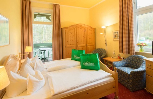 Bad Harzburg Hotel | Double Room - Hotel Winterberg