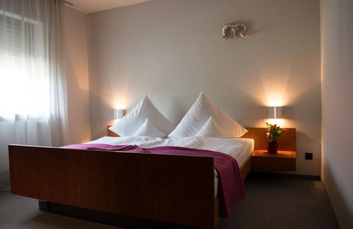Warmensteinach House | Double room, shower or bath, WC, balcony - Hotel Restaurant Brigitte