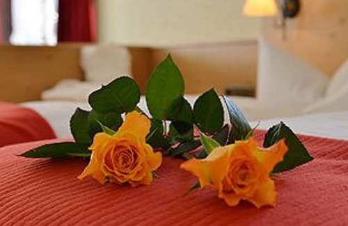 Hirschegg House | Double room standard DZ DL HH "12" - Hotel Garni Adler