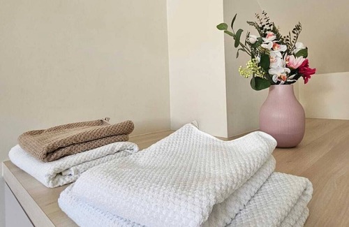 Klein-Antwerpen Apartment | Double room with private bathroom