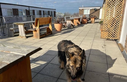 Aberporth Apartment | Double Serviced Room