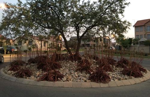 Centurion House | Double Room @ mullein