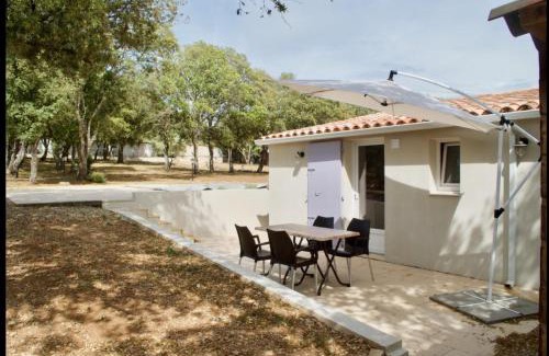Fox-Amphoux House | DOUCEUR D OLIVE, gite de charme 4 pers tout confort aux portes du Verdon - NOUVEAU A LA LOCATION