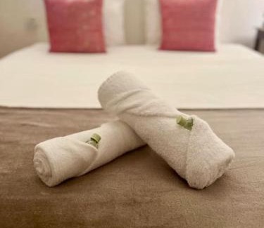 Sete Apartment | Doudou T2 Bohème en Centre-Ville