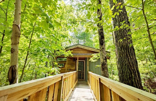 Monteagle Cabin | Dove Treehouse: Treetop Bliss on Monteagle