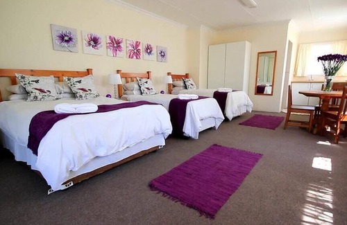 Kempton Park Bed & Breakfast | Doves Nest Guest House-45 rooms-Bed and Breakfast