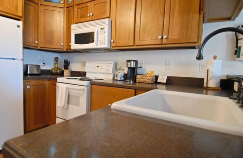 Bloomington Apartment | "Downtown Bloomington Loft-Style Urban Retreat"