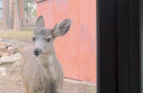 Kerr Gulch House | Downtown Evergreen & 10miles to Red Rocks Amphitheatren equipped for long stays