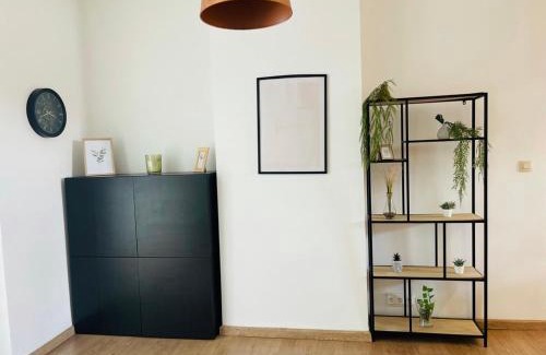 Sint-Jans-Molenbeek Apartment | Downtown Quiet and Peacefull Apartment