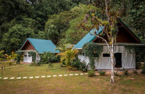 Drake Bay Other | Drake Bay River View
