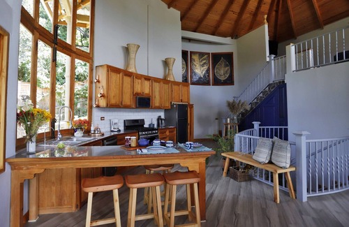 Pasajcap House | Dramatic new home, close to center, STUNNING views! Now with Starlink Internet!