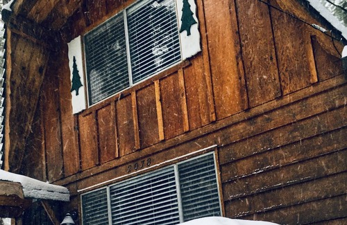 Woodlands House | Dream Under The Pines.