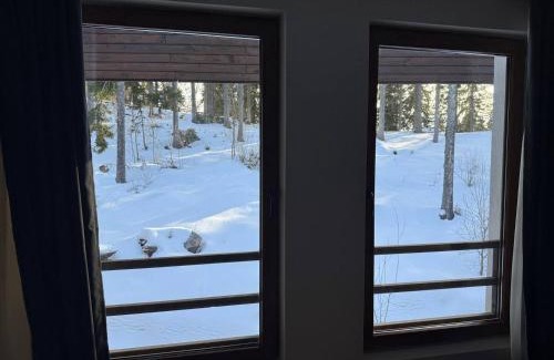 Pamporovo Apartment | Dream View Family Retreat
