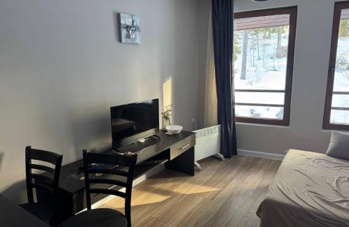 Pamporovo Apartment | Dream View Family Retreat