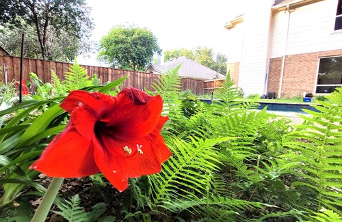 North Arlington House | Dreamy Central Spacious 6 Bedroom Pool House!