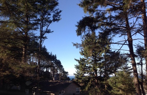 Neskowin House | Dreamy Cottage Near Beach, 1.5 Wooded Acres, Free EV Charger!