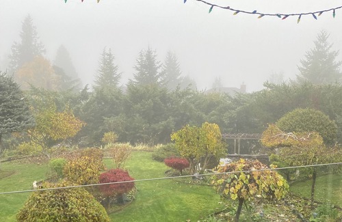 West Porpoise Bay House | Dreamy House on Sunshine Coast with a Cozy Patio