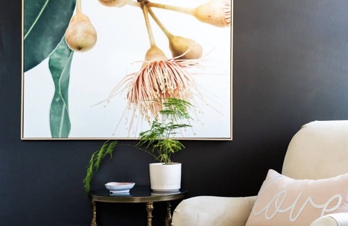 Collingwood House | Driftwood on 6th in Historic Downtown Collingwood/Pet Friendly