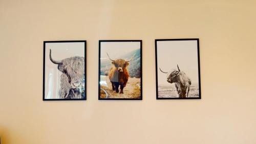 Alvie House | Druim An Lochain Cottage