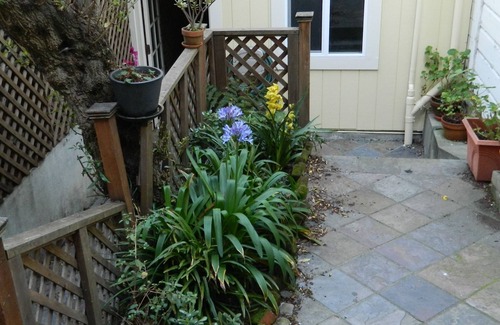 Noe Valley Condo | Duncan St Retreat Stay in a 2 Bedroom Flat in Sunny Noe Valley