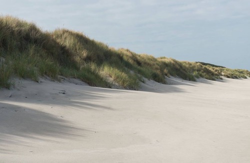 Municipality of Vlieland Villa | Dune villa with sauna on the island of Vlieland, near the woods and sea.