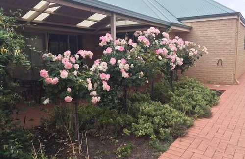 Quindalup House | Dunsborough - bring your pooch - check out our midweek special