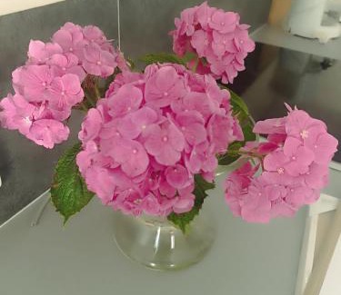 Les Mesnuls Apartment | Duplex dans belle propriété avec piscine