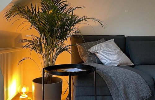 Saint-Laurent Apartment | Duplex in the historic heart of Liege - 3rd floor