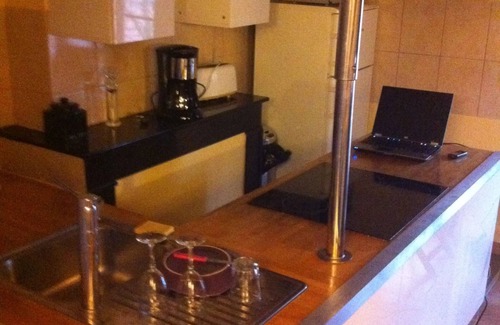 Roanne Apartment | DUPLEX UNDER THE SLOPES ON THE BANKS OF THE LOIRE (APT N°22)