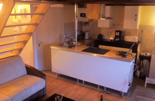 Roanne Apartment | DUPLEX UNDER THE SLOPES ON THE BANKS OF THE LOIRE (APT N°22)