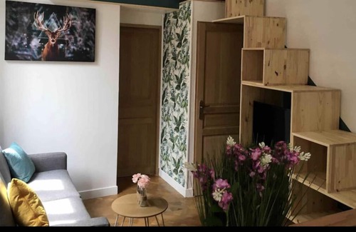 Besancon Old Town Apartment | Duplex Victor Hugo