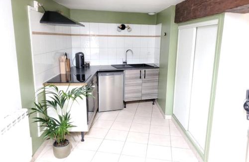 Blois Apartment | Dupplex, centre ville