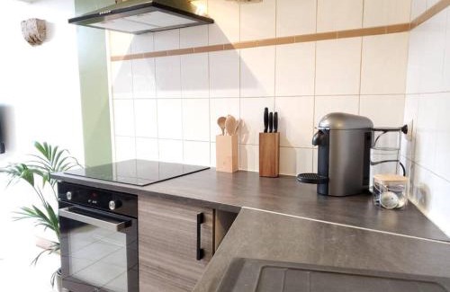 Blois Apartment | Dupplex, centre ville