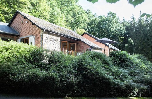Bohon Villa | Durbuy Forest Villa with Pool