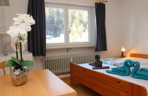 Todtmoos House | DZ Schwarzwaldzauber mit gem. Küche