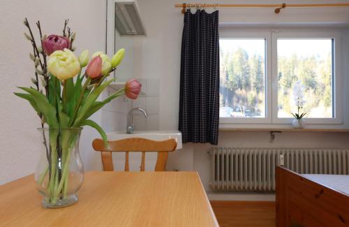 Todtmoos House | DZ Schwarzwaldzauber mit gem. Küche
