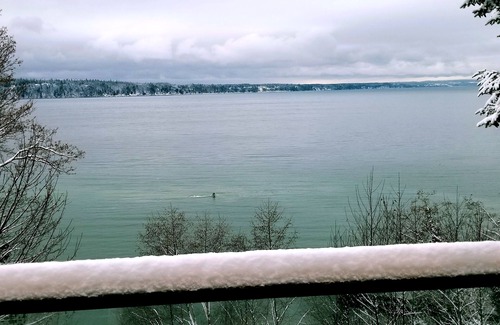 Tulalip House | Eagle Cove – Private Beachfront Retreat, Whale Watching, Hot Tub, Sleeps 20