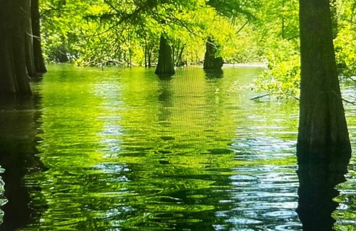 Redwood RV Rental | Eagle Lake Waterfront Lot, at Public Launch (lot only)