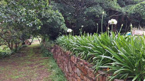 Port Elizabeth Ski Chalet | Eagle Owl Cottage