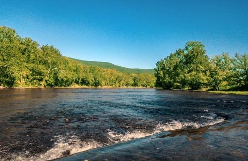 Luray Cabin | Eagle's Nest- A pet friendly cabin on the river!