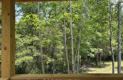 Flat Rock Cabin | Eagle's Nest Jacuzzi Pet Friendly Mtn Views