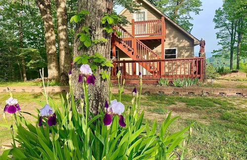 Jasper Cabin | Eagle’s Nest Cabin- Cozy Cabin with STUNNING Sunsets and Mountain Views!