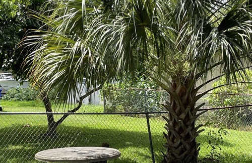Vero Beach House | Early Bird Summer Special Weekly Discounts Hibiscus House