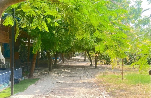 Tierra Bomba Island Cabin | Earth bomb Susurros del Mar Cabin