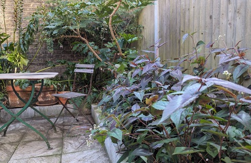 Leabridge Apartment | East London apartment newly refurbished in the heart of Hackney