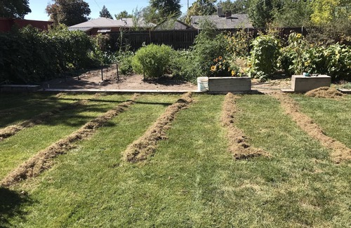 Rose Park House | Easy Access to everything!