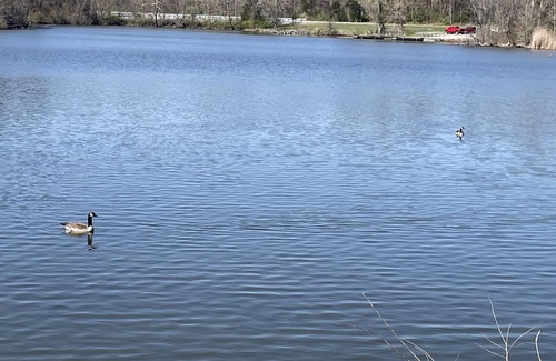 Carbondale RV Rental | Eclipse Campsites Available. Waterfront views