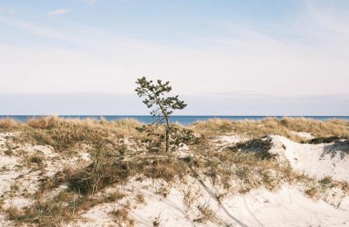 Snogebaek Other | Eco Beach Camp