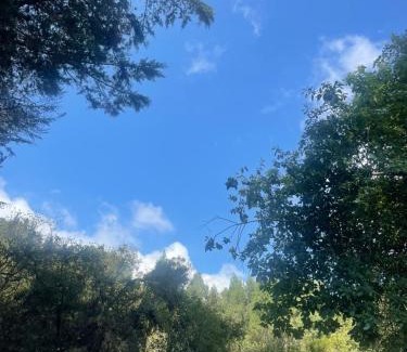 Bogota Apartment | Eco Cabaña de Olga con vistas a la ciudad de Bogota