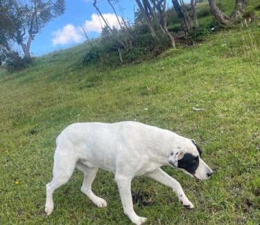 Bogota Apartment | Eco Cabaña de Olga con vistas a la ciudad de Bogota